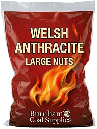 Welsh Large